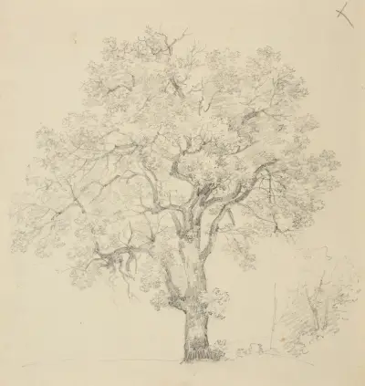 Trädstudie av Jacques-Raymond Brascassat