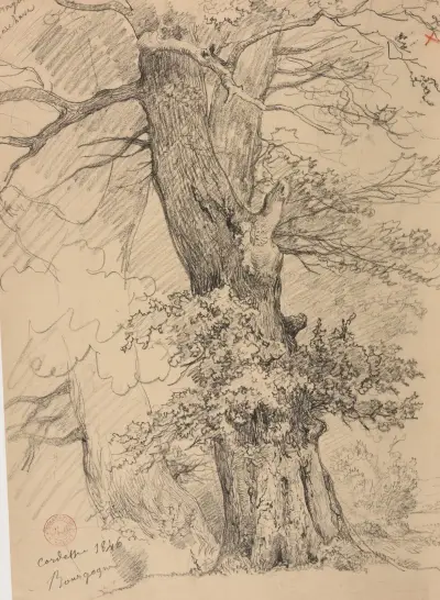 Étude d’arbre, 1846 av Jacques-Raymond Brascassat