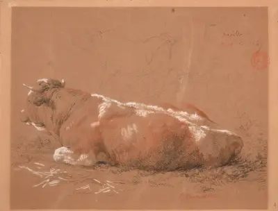 Studie av liggande oxe av Jacques-Raymond Brascassat