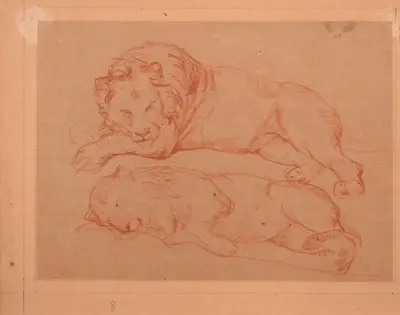 Studie av två liggande lejon av Jacques-Raymond Brascassat