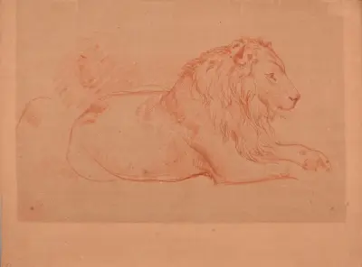 Studie av liggande lejon av Jacques-Raymond Brascassat