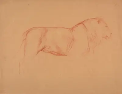 Étude de lion. av Jacques-Raymond Brascassat