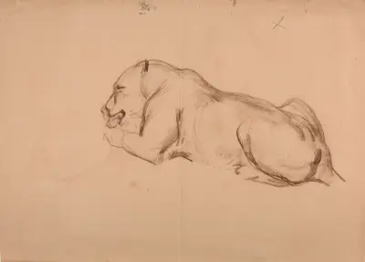 Étude de lionne. av Jacques-Raymond Brascassat