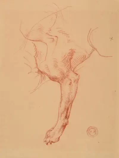 Étude de patte de chien av Jacques-Raymond Brascassat