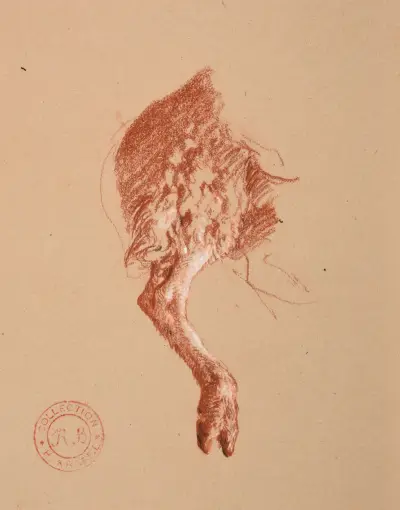 Studie av fårfot av Jacques-Raymond Brascassat