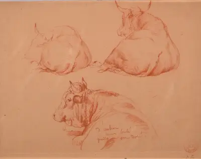 Studie av tre liggande kor av Jacques-Raymond Brascassat