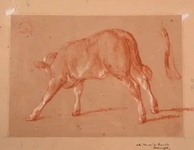 Kalvstudie av Jacques-Raymond Brascassat