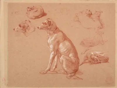 Hundstudier av Jacques-Raymond Brascassat