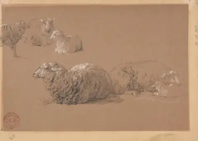 Studier av liggande får av Jacques-Raymond Brascassat