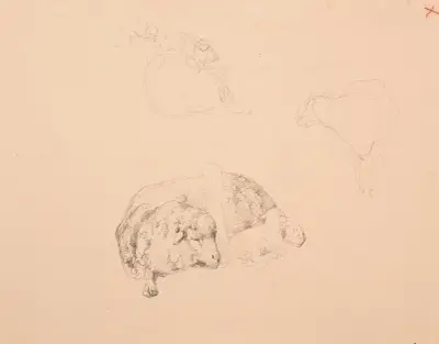 Studier av får av Jacques-Raymond Brascassat