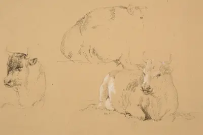 Studier av liggande kor av Jacques-Raymond Brascassat