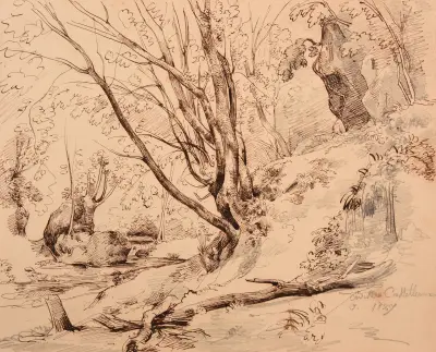 Bäck och skog i Civita Castellana av Jacques-Raymond Brascassat