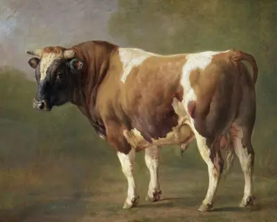 Studie av tjur av Jacques-Raymond Brascassat
