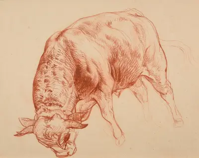 Taurillon av Jacques-Raymond Brascassat