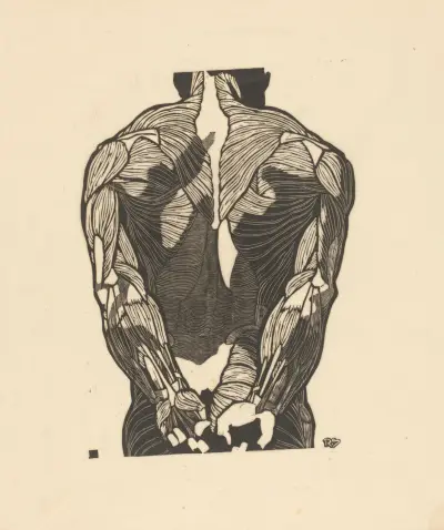 Study of the back muscles. – nr 1 av Reijer Stolk