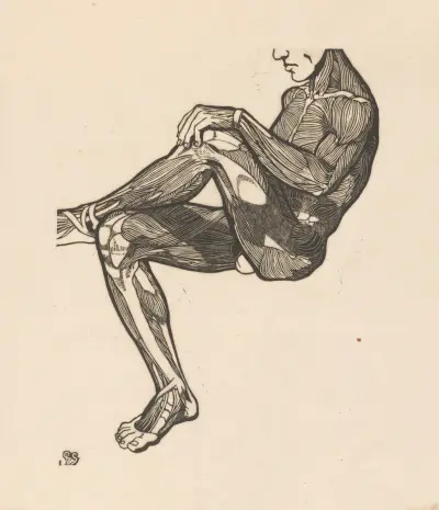 Study of the leg and arm muscles. – nr 1 av Reijer Stolk