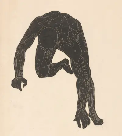 Study of the neck, arm, and leg muscles – nr 1 av Reijer Stolk