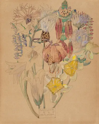 Mont Louis – Flower Study av Charles Rennie Mackintosh