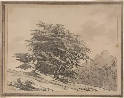 Cedar av John Robert Cozens