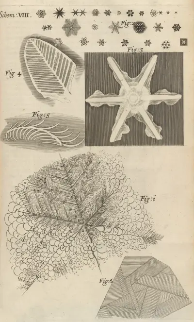 Microscopic view of several kinds of frozen figures av Robert Hooke