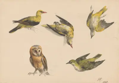 Studies van een uil en twee wielewalen av Henriëtte Ronner-Knip