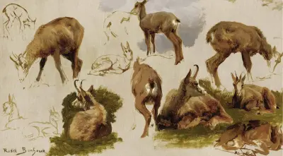 Studien einer Gämse von Rosa Bonheur