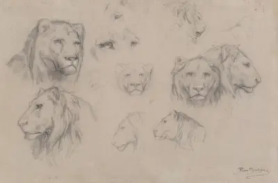 Studie von Löwen- und Löwinnenköpfen von Rosa Bonheur
