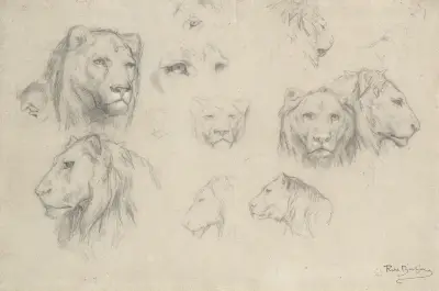 Studie von Löwen und Löwinnen von Rosa Bonheur