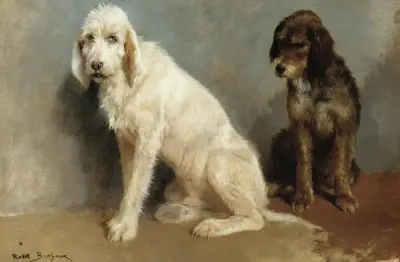 Study Of Two Dogs av Rosa Bonheur