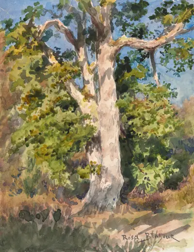 Tree Study av Rosa Bonheur