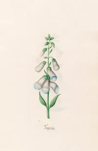 Fingerhut, 1692 – Nr. 1 von Magdelena Rosina Funck
