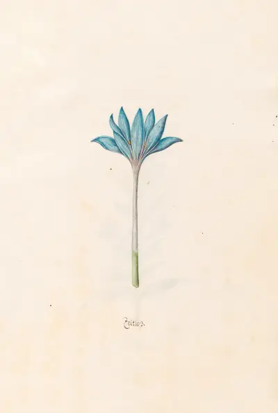 Zeitloss, 1692 – nr 1 av Magdelena Rosina Funck
