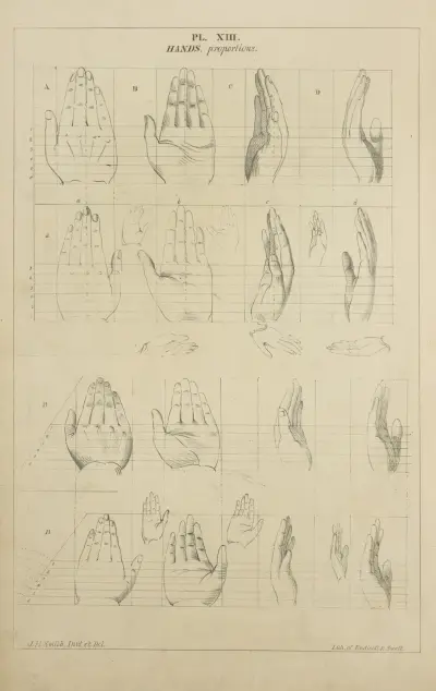 Händer – proportion av John Rubens Smith