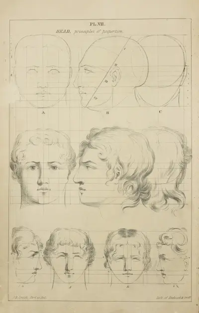 Heads – principles of proportion av John Rubens Smith