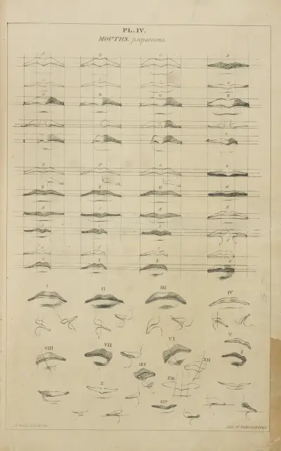 Munnar – proportioner av John Rubens Smith