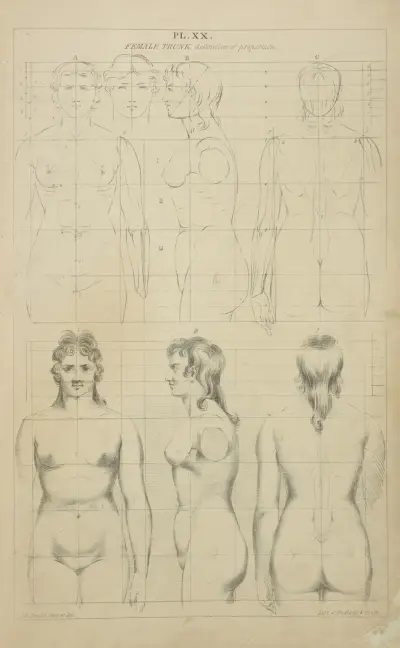 Kvinnlig torso – proportionslära av John Rubens Smith