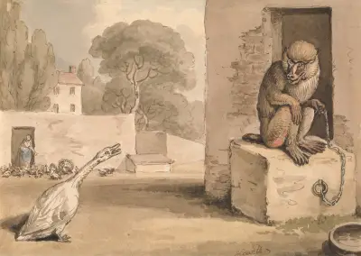 A Goose and a Baboon av Samuel Howitt