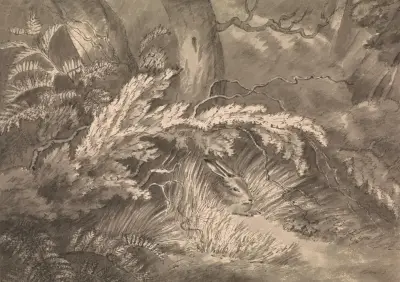 En hare vid skogsbrynet av Samuel Howitt