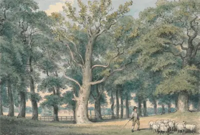 Ett parklandskap med herde och får av Samuel Howitt