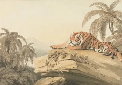 A Tiger Resting, Samuel Howitt