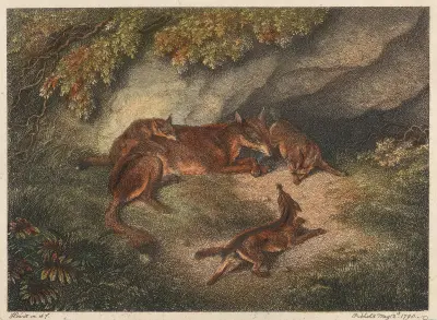 Rävhona och ungar av Samuel Howitt