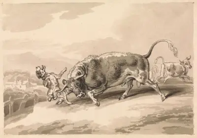 Bull Attacking Mastiff, Samuel Howitt