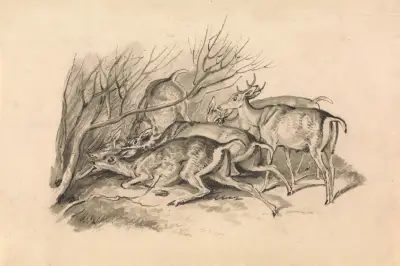 Hjort framför en snårskog av Samuel Howitt
