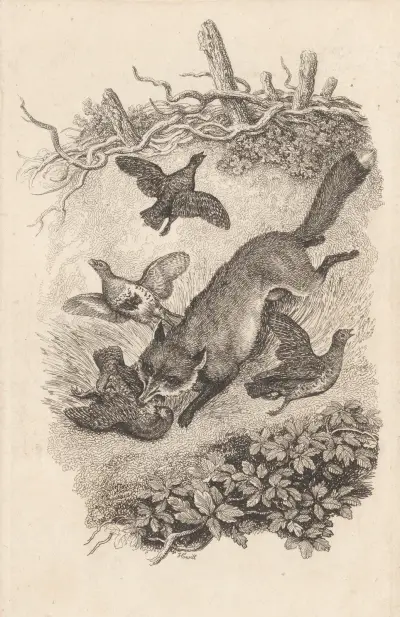Fox and Partridges, Samuel Howitt
