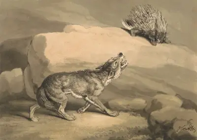 Räven och igelkotten (Piggsvinet) av Samuel Howitt