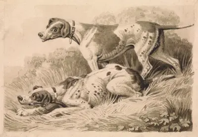 Gun Dogs, Samuel Howitt