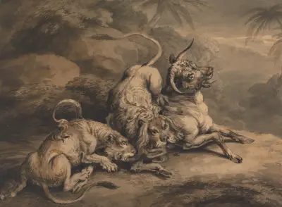 Lion and Lioness Attacking a Steer, Samuel Howitt