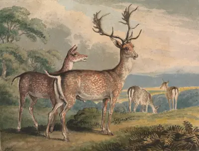 Hjort, hind och kalvar av Samuel Howitt