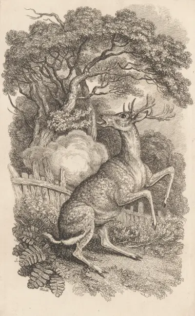 The Buck’s Death Wound, Samuel Howitt
