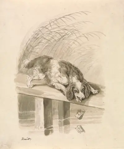The Dog and The Shadow, Samuel Howitt